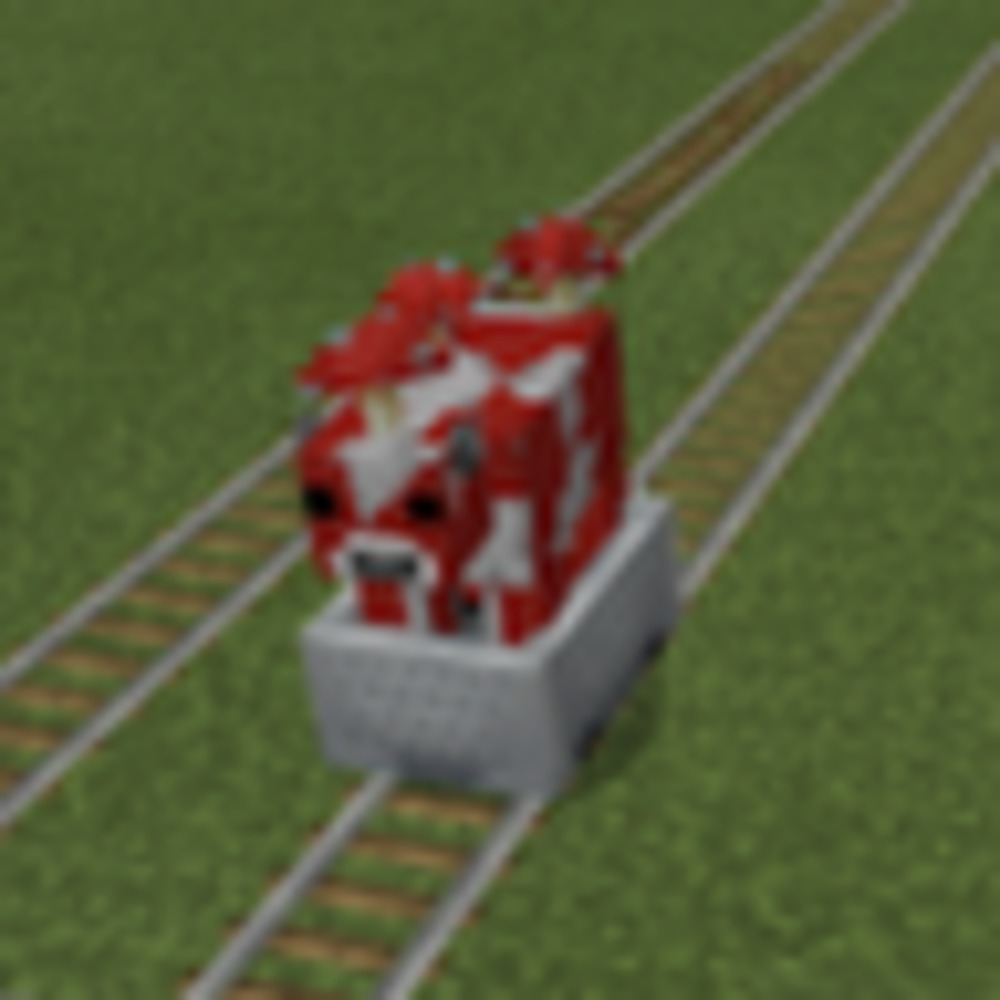 Meet your Posher, Alexandra